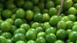 El limón baja, pero otras frutas suben