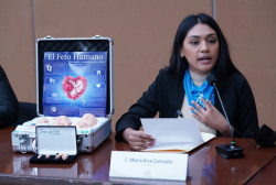 Recibe Congreso posturas de providas en relación a la despenalización del aborto
