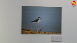Conselva inaugura exposición fotográfica