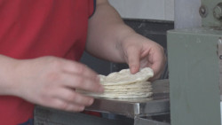 Posible aumento del kilogramo de tortilla