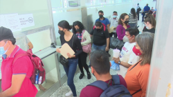 Aumentan solicitudes de certificado de no antecedentes penales