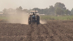 Exigen agricultores intervencion de Profeco para revisión de vásculas