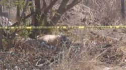 Bajan los homicidios en Sinaloa en el mes de enero según la FGE