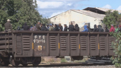 Guardia Nacional detiene a cerca de cien migrantes centro americanos en Culiacán