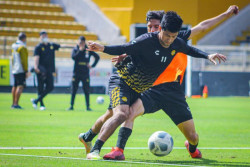 Dorados recibe a Pumas Tabasco en la jornada 7 de la Liga de Expánsión