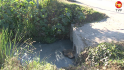 Piden construcción de puente en Ampliación de Urías III