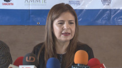 Diputados insisten en destituir a la auditora Emma Guadalupe