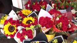 Altos precios y competencia desleal en venta de flores