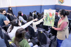 Llaman a salvar a animales en peligro de extinción