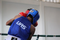 La UAS ya tiene a sus seleccionados en boxeo para la fase regional de la Universiada