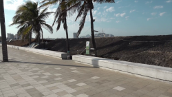 Pedirán ante SEMARNAT  regulación en imagen del malecón