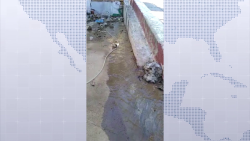Afectaciones a la salud y perdidas materiales por fuga de agua