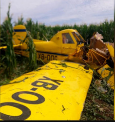 Muere piloto, al desplomarse avioneta fumigadora