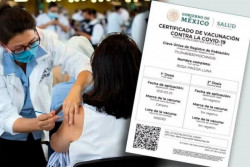 “Trabas” para emitir certificados Covid siguen, pero quedan ya sólo un 3% de solicitudes por revisar