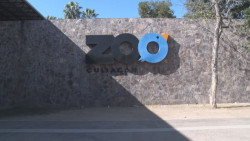 Calidad de vida para las especies del Zoológico de Culiacán