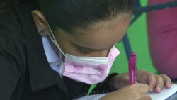 Cada escuela decide si vuelve a presencial o en línea: Servicios Regionales