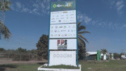 El producto agrícola es prioridad