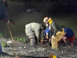 Muere al caer con su camioneta al canal