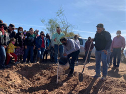 Arrancan campaña de reforestación en Etchojoa