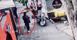 Buscan a indigente de la CDMX que roba gatos y se los come (video)