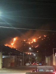Alerta Protección Civil estatal por más de 500 incendios urbanos en la última semana