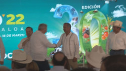 No hay pleito entre Rocha y Estrada