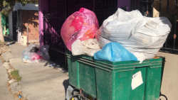 Piden recolección de basura en Arboledas 1