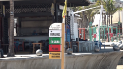 Instalan nuevos banderines en zona de playa