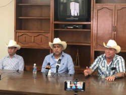Ganaderos del Valle del Yaqui comprarán más barato la paca de alfalfa