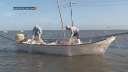 Sinaloa tendrá casetas fitosanitarias en pesca
