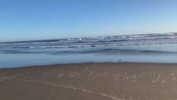 Una playa nudista fomentará el morbo y posible exposición a la violencia: SEMUJERES