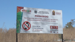 Continúa el problema de la basura