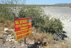 Se dispara la venta de terrenos en el ejido Rosendo G. Castro