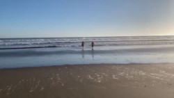 Para la creación de una playa nudista se debe presentar un proyecto formal