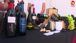 Arranca feria de vino en Mazatlán