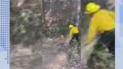 En Sinaloa se han presentado 8 incendios forestales en 5 municipios