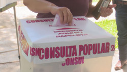 Entre acarreo y derroche de recursos la Consulta Popular