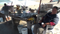 Aumentan las ventas de pescado en Playa Norte