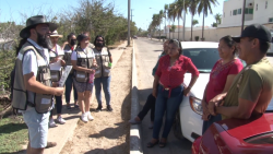 Ecología concientiza a locales y turistas  en zona de playa