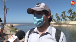 Se trabaja en un ordenamiento ecológico regional: SEDESU