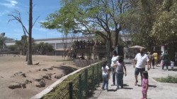 El zoológico de Culiacán, una opción de recreo sin salir de la ciudad