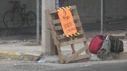 Colocan carteles para señalizar sentido contrario en Calle Ham