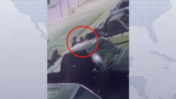 Reportan robo de catalizadores