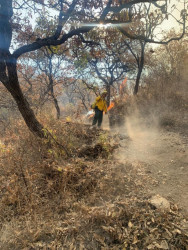 Utilizarán helicóptero en combate a incendio forestal de Álamos.