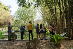 Invitan a participar en el Reto Naturalista Urbano