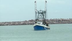 No habrá apoyo al diesel marino