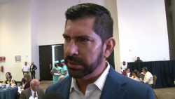 Se busca penalizar el robo de camarón de granja en Sinaloa