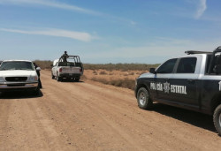 Marina y Policía Estatal aseguran especie en peligro de extinción en Etchojoa.
