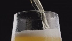 Elaboración de cerveza artesanal un detonante económico