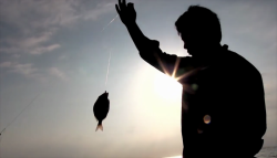 No habrá empleo temporal para pescadores, recibirán BIENPESCA